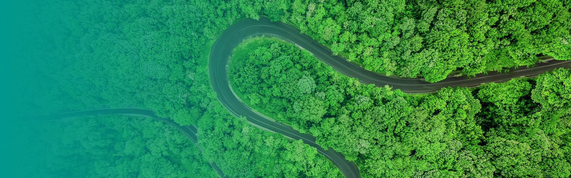 千赢国际(中国游)官方网站